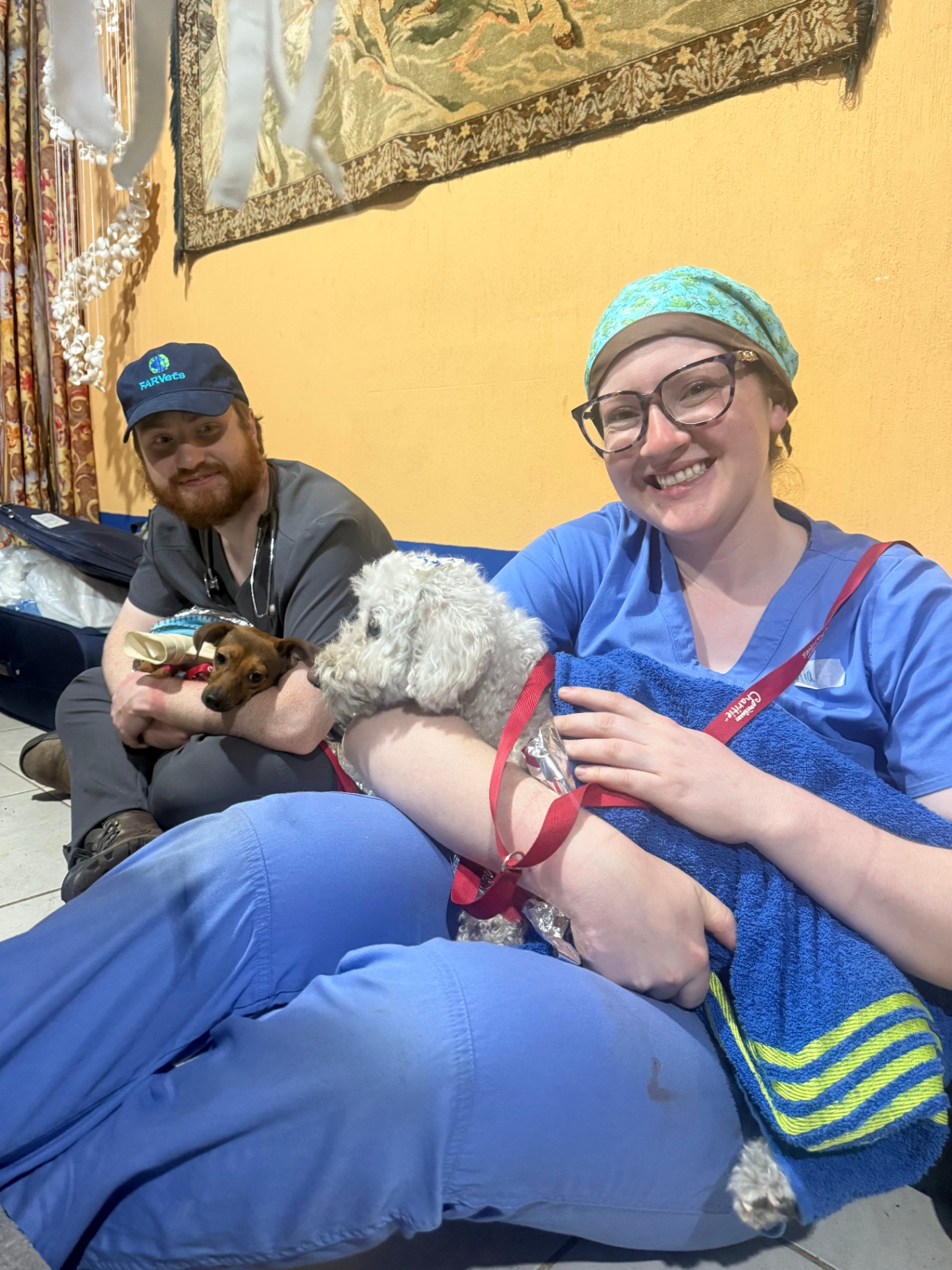 Two FARVets veterinarians sitting with two small rescue dogs after a clinic day