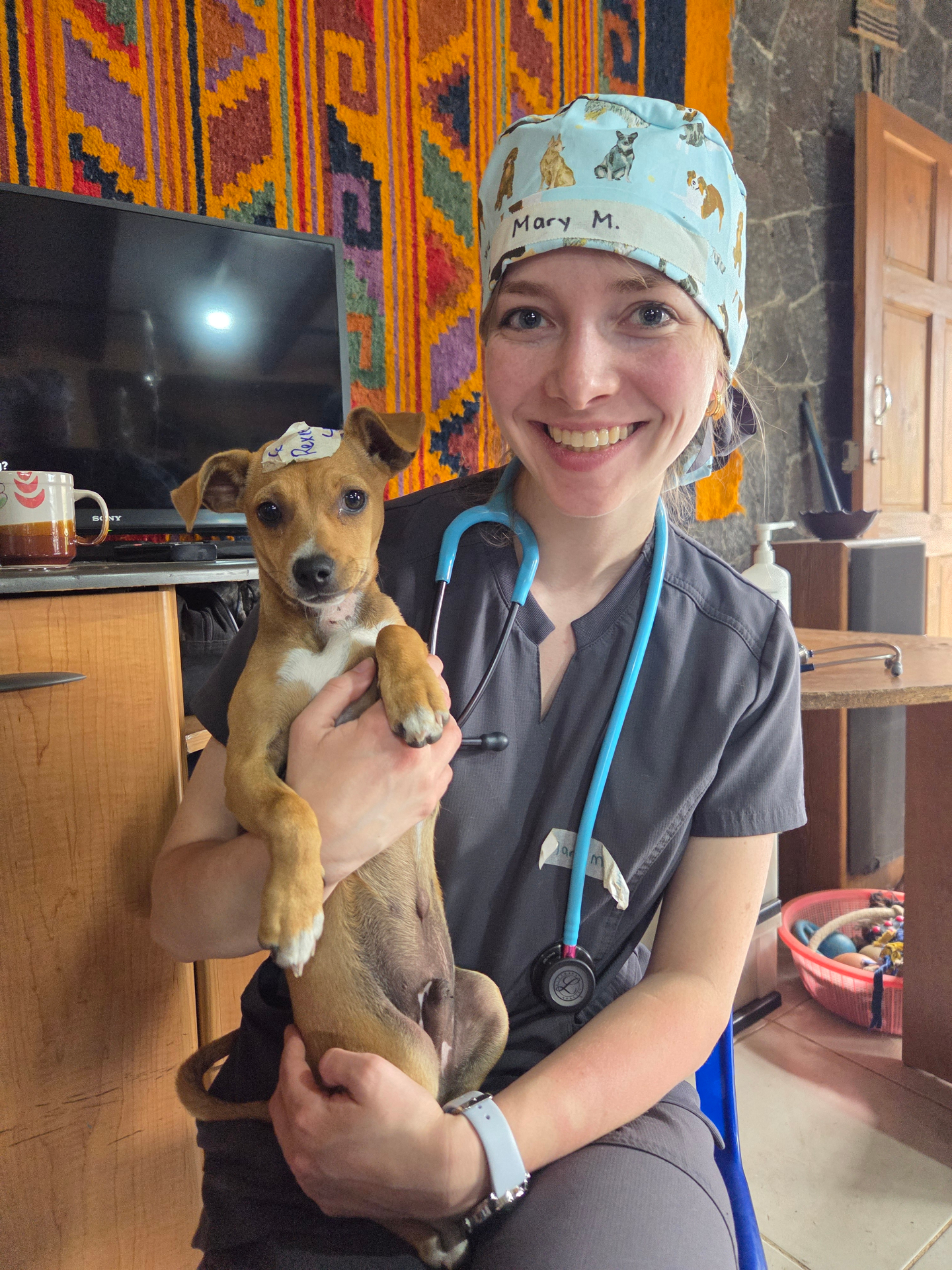 A FARVets veterinary team member holding a small puppy during a clinic